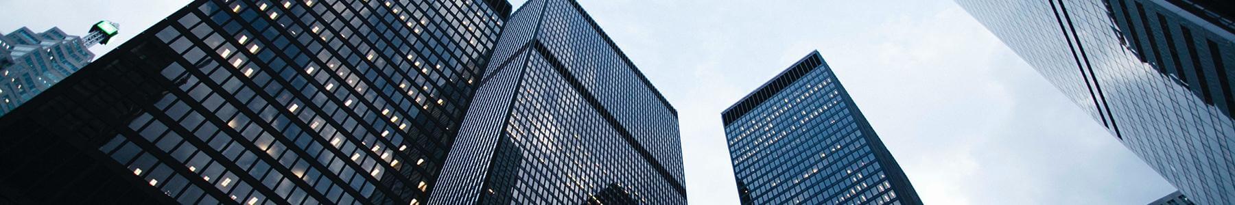 CIO Insights: Buy The Dip