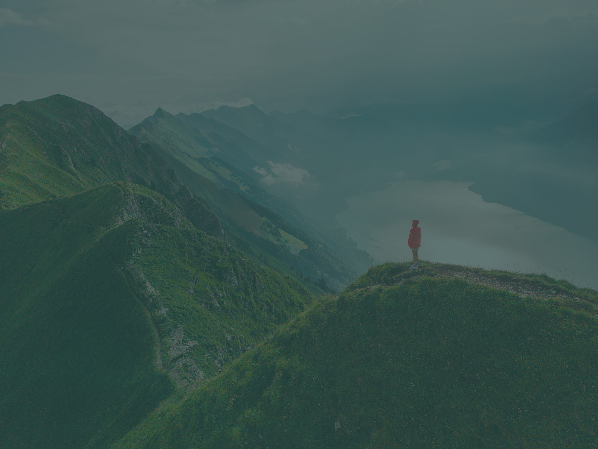 How to Fortify Your Wealth Against Legal & Financial Risks: A Guide to Asset Protection